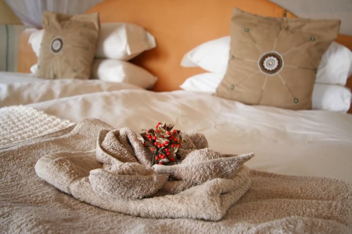 Estilo Safari, cautivante