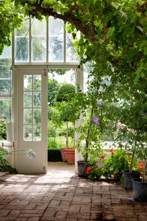 Construye un invernadero en casa