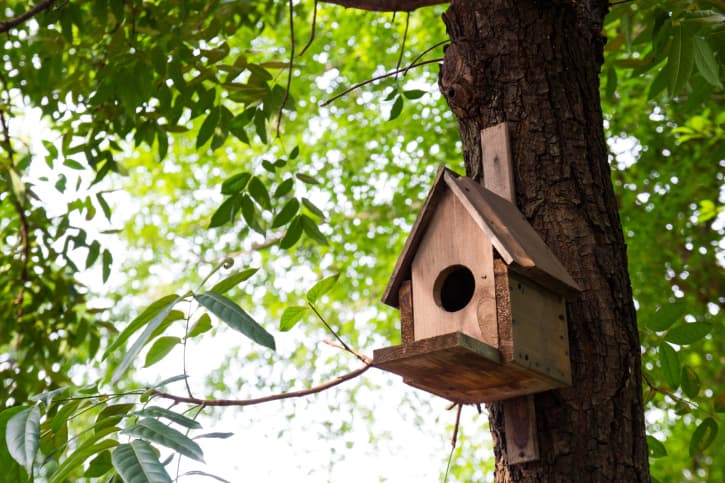 Jardines con pajareras