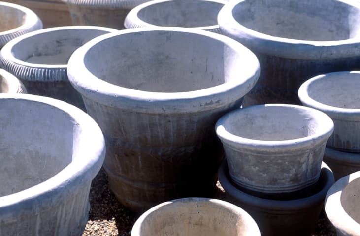 Delicada maceta de cemento