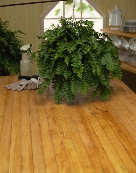 Macetas colgantes para plantas de interiores