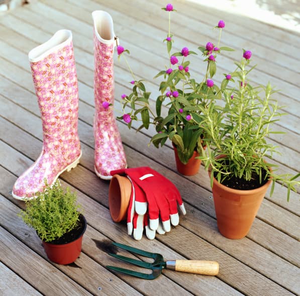 Aprende a elegir la maceta perfecta para tus plantas