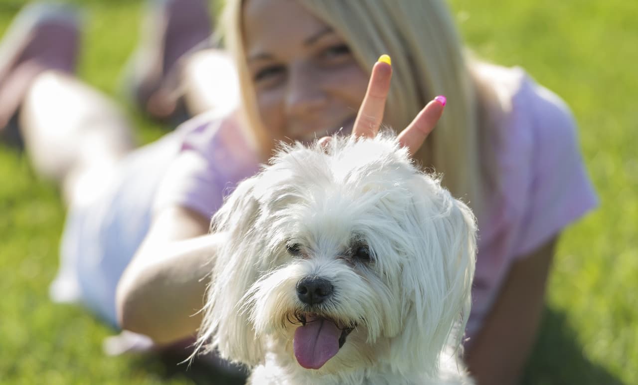 9 razas de perros que viven más años, según el encantador de perros, César Millán