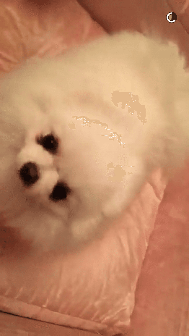 ¿Eres nueva en Snapchat? Estos son los 9 famosos que necesitas seguir ahora mismo