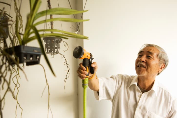 ¿Plagas en casa?... Ah!!!