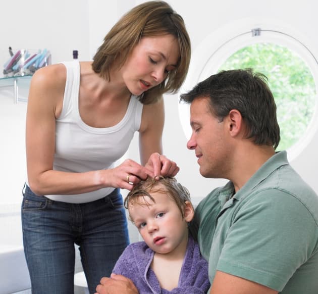 Cómo combatir los piojos