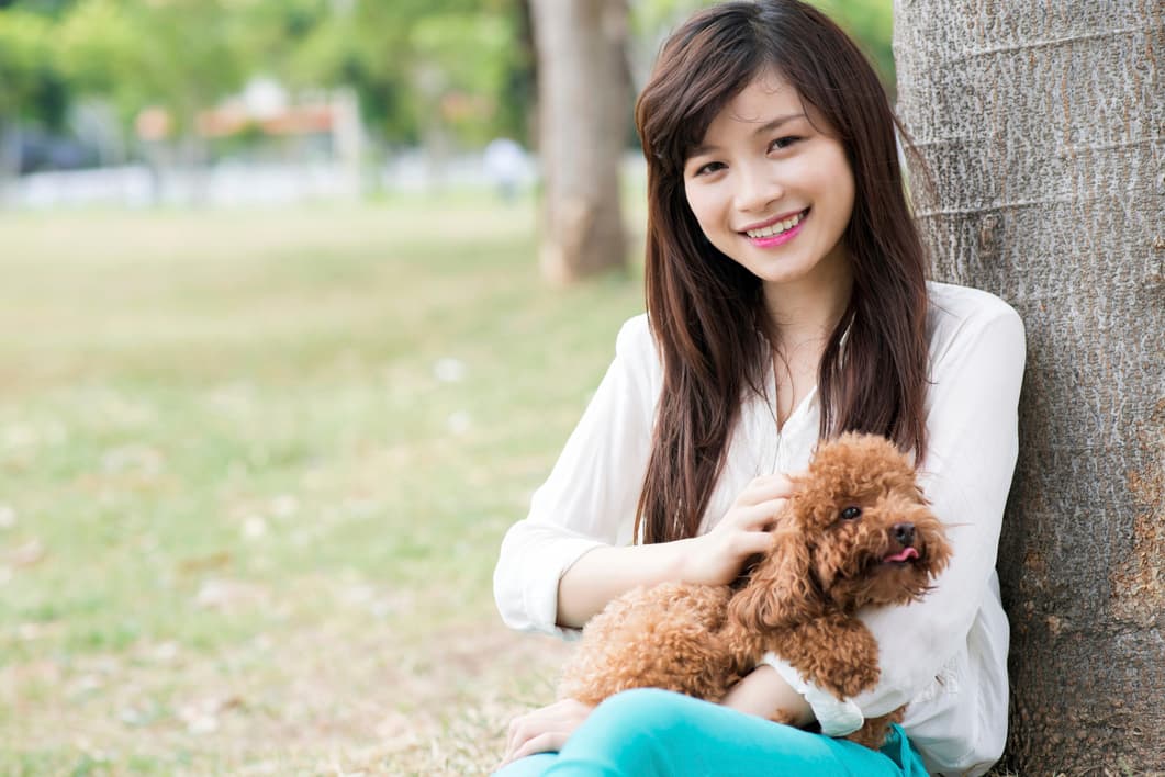 Cómo elegir el perro ideal