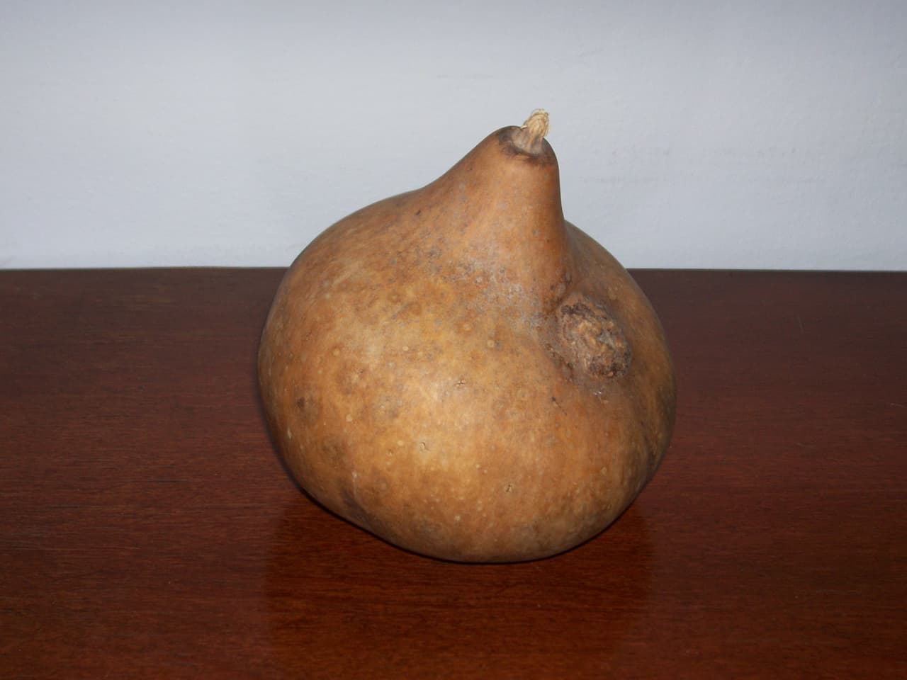 Casita de pajaritos 2, enviada por Mariela  