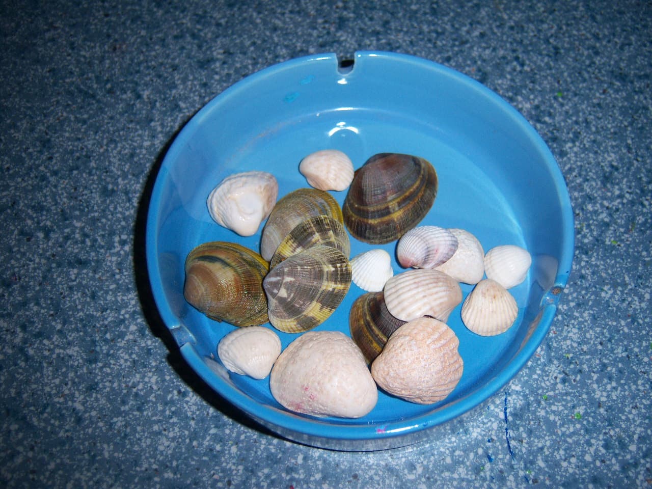 Cómo decorar un cuadro con cáscaras de almejas, por Inés
