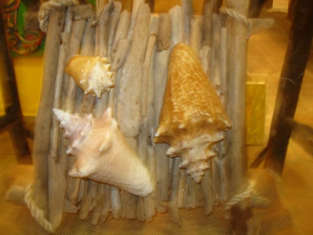 Decoración con Caracoles, enviada por Madelaine