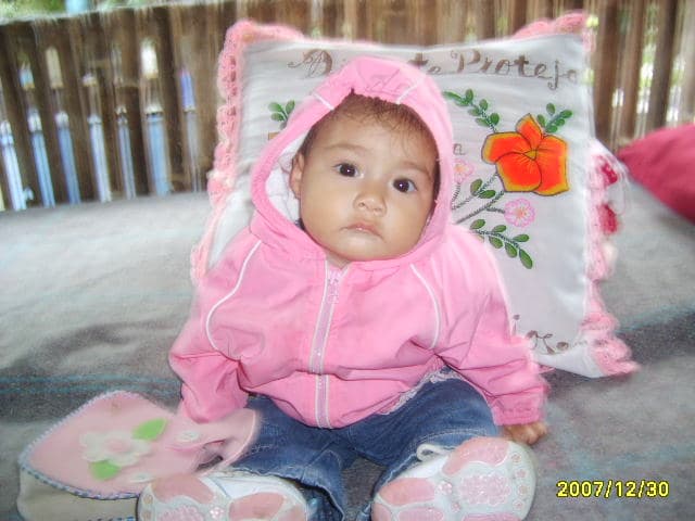 Cojines Bordados, enviados por Josefina