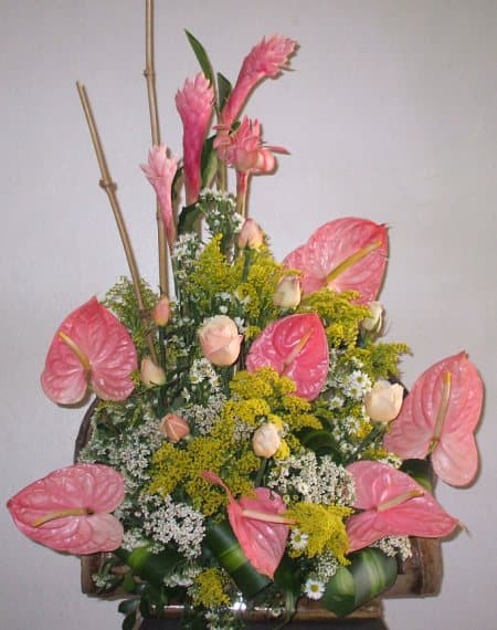 Arreglo natural en una canasta de bambú, enviado por Juana