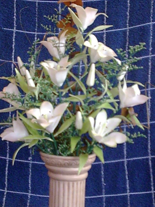 Flores en porcelana rusa, enviadas por Antonia