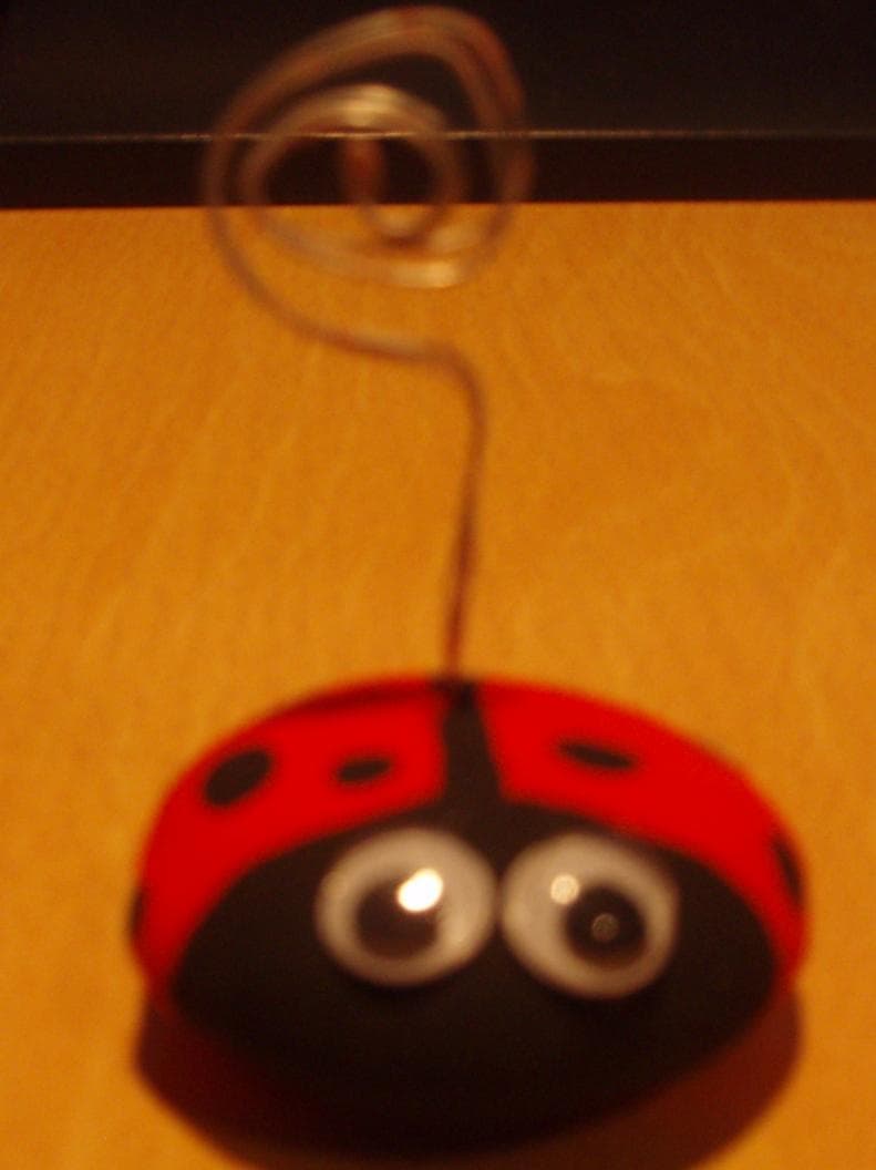 Mariquita porta fotos, enviado por Judith