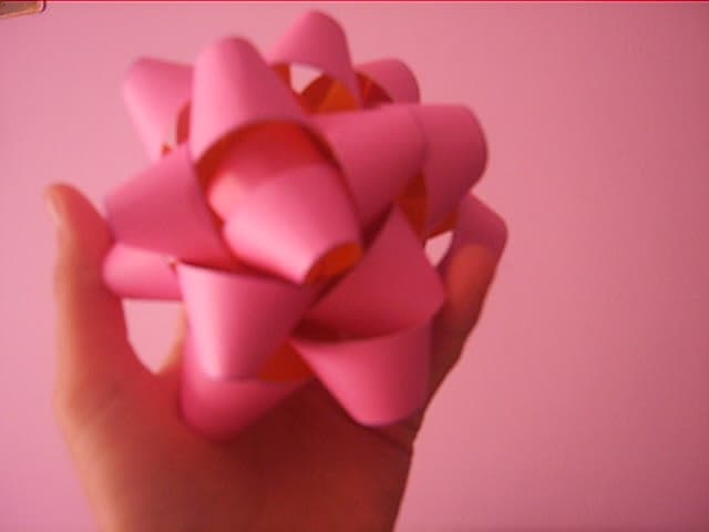 Rosas de cartulina, enviadas por Engel