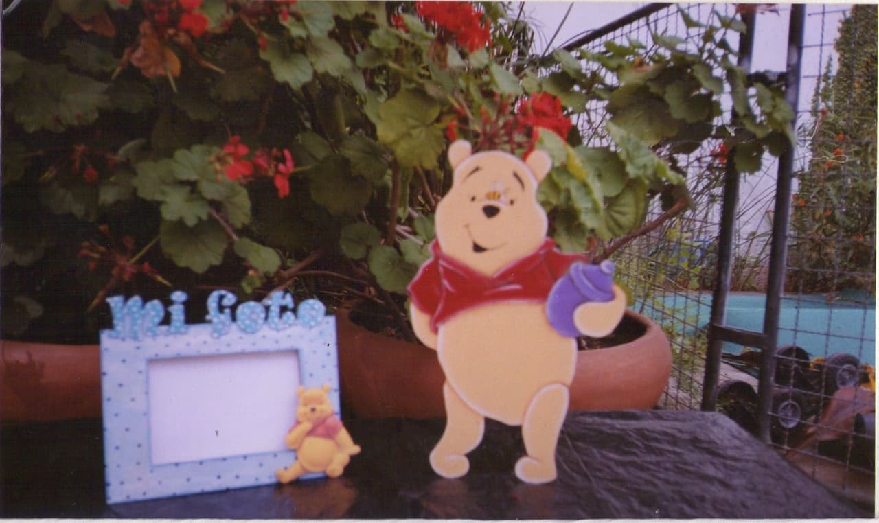Perchero, porta retrato y cartel de Winnie Pooh, enviados por Mirna