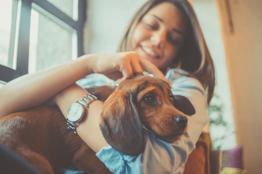 7 señales que demuestran que amas más a tu perro que a tu pareja 