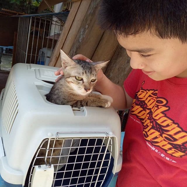 Estos niños son un ejemplo para toda la humanidad, ¡mira por qué!