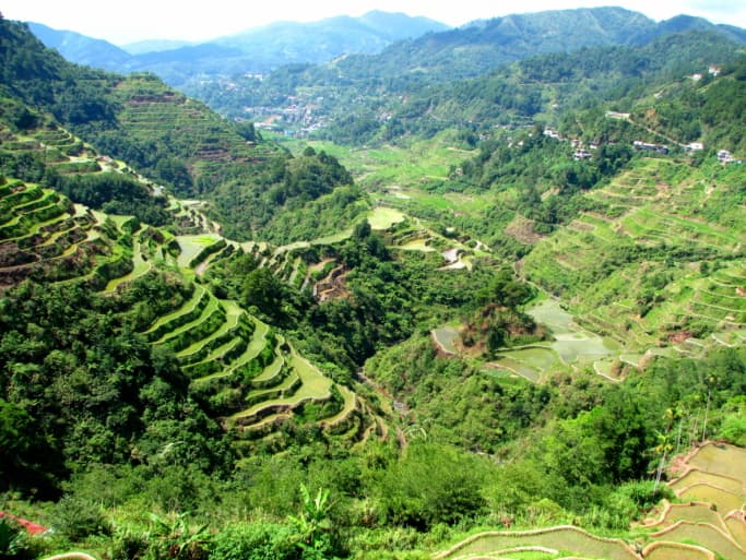 Las terrazas de cultivo de arroz de la cordillera filipina
