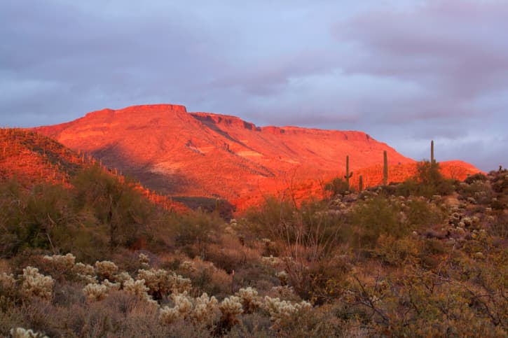 El gran Parque Nacional Saguaro de Tucson, Arizona