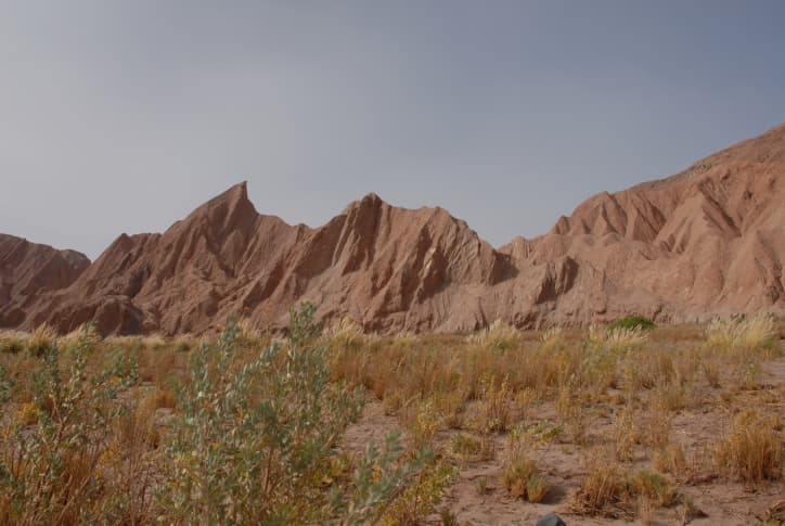 La Laguna Cejas de San Pedro de Atacama