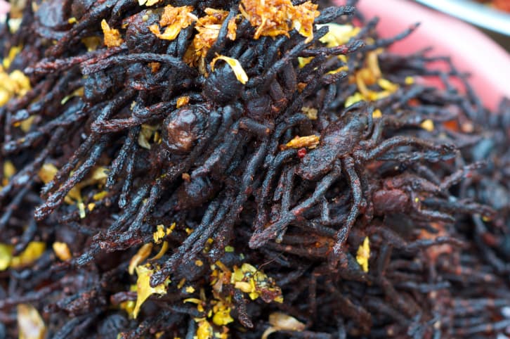 Para paladares exquisitos: los platos más insólitos