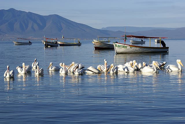 El  Lago de Chapala, un bello rincón de México