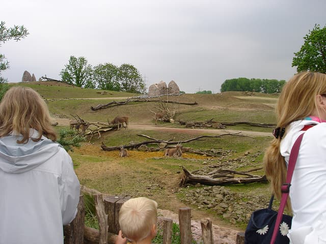 Los animales del zoológico Gelsenkirchen