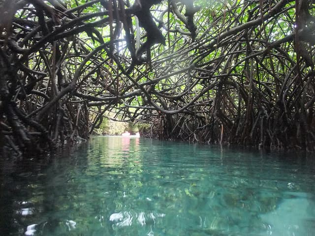 Ríos subterráneos en México