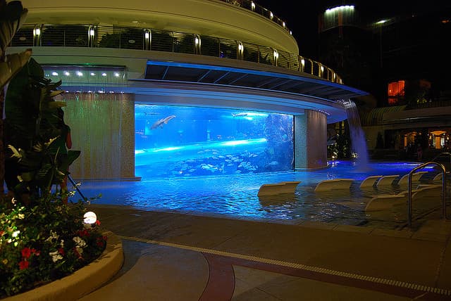 Las mejores piscinas del mundo hotelero