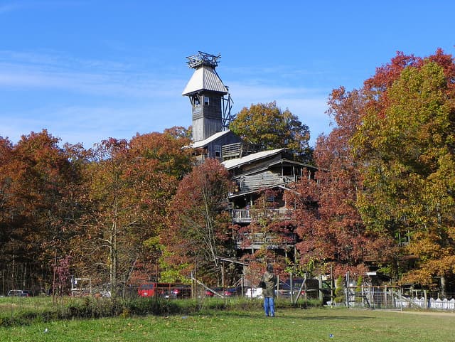 La casa del árbol más extraordinaria del planeta