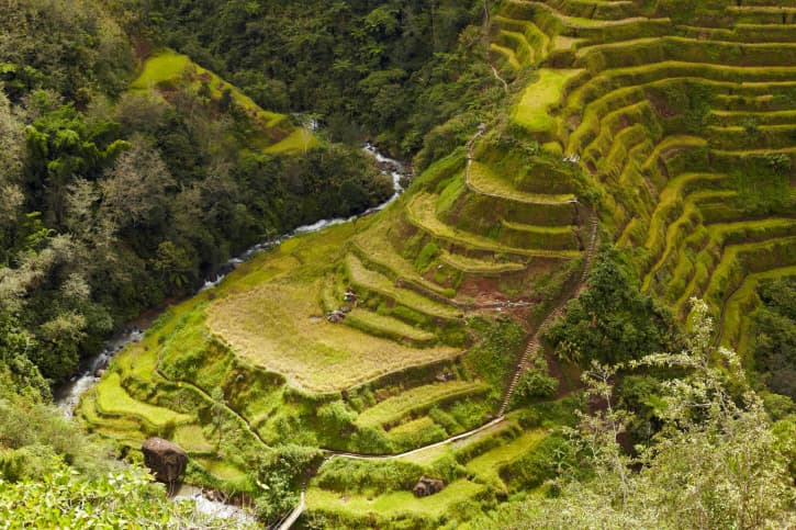 Las increíbles Terrazas de Arroz de Banaue