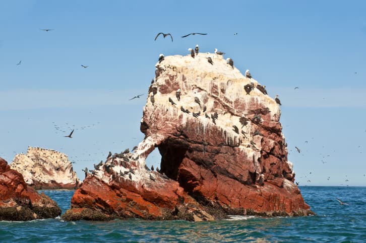 Visitar las Islas Ballestas