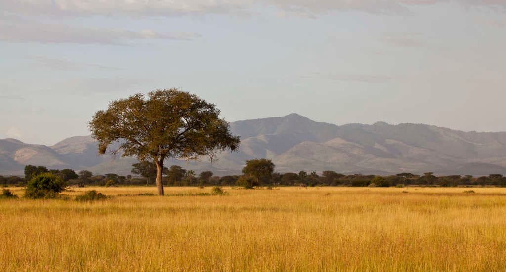 Safari por el Serengeti