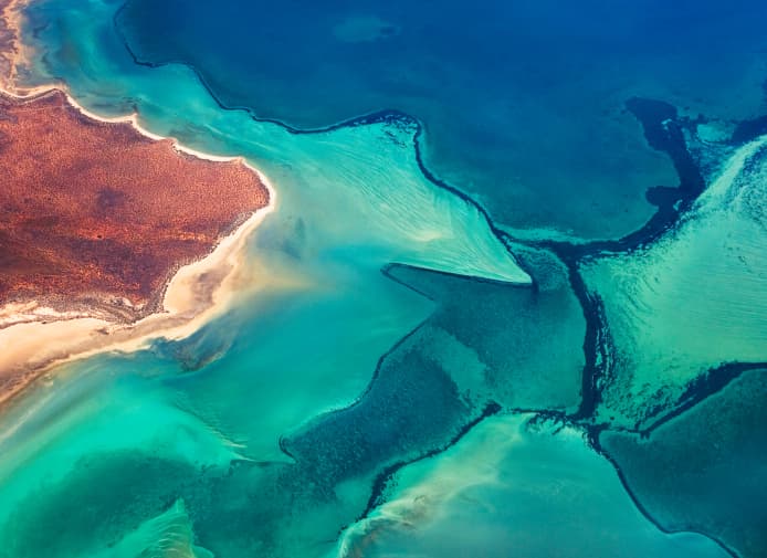 Bahía Shark, la costa de los tiburones