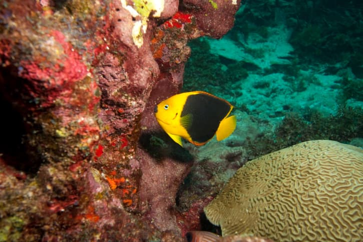 Bonaire: El secreto mejor guardado del Caribe