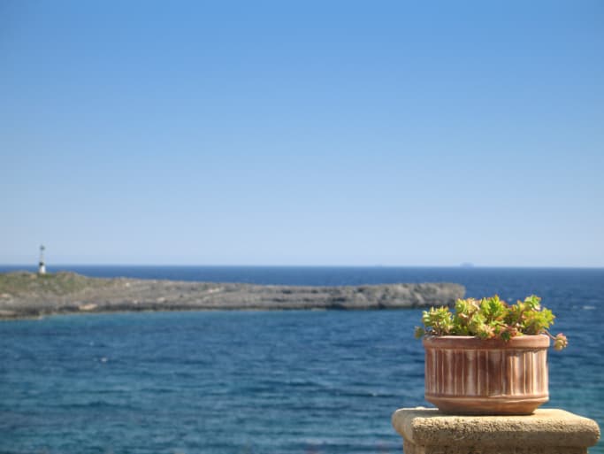 Recorrido por la costa oeste de la Península de Florida