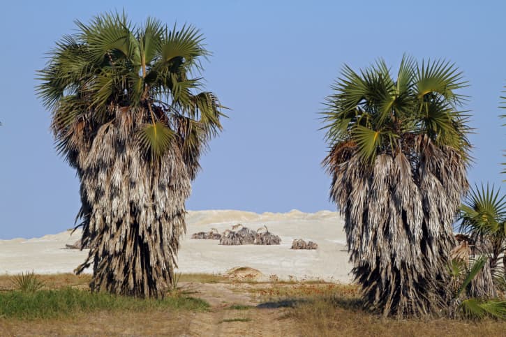 La ciudad más cara del mundo