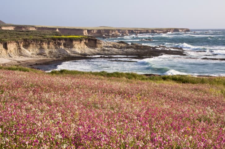 Parque Estatal Montaña de Oro