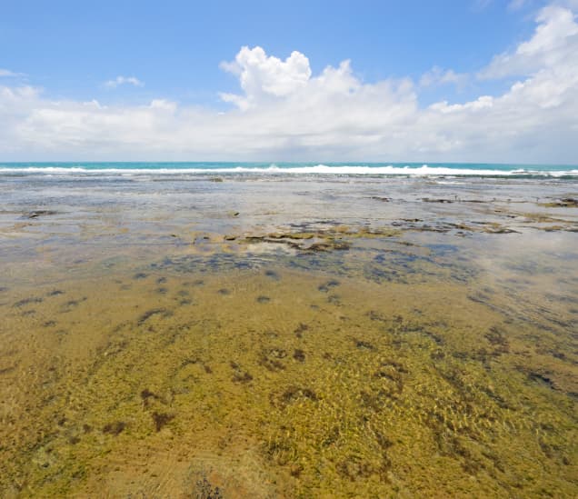 Porto de Galinhas: surf y sol todo el año