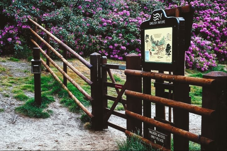 Sandringham, el sitio para sentirse rey por un día