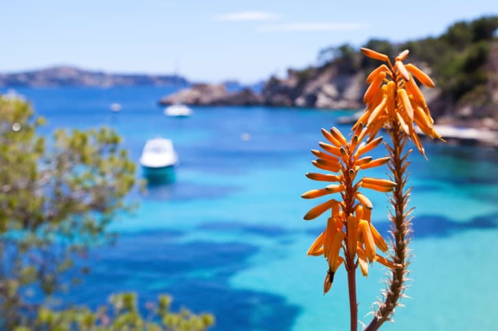 Viajes de fin de curso