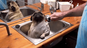 15 cosas que SOLO las mujeres de pelo largo entenderán