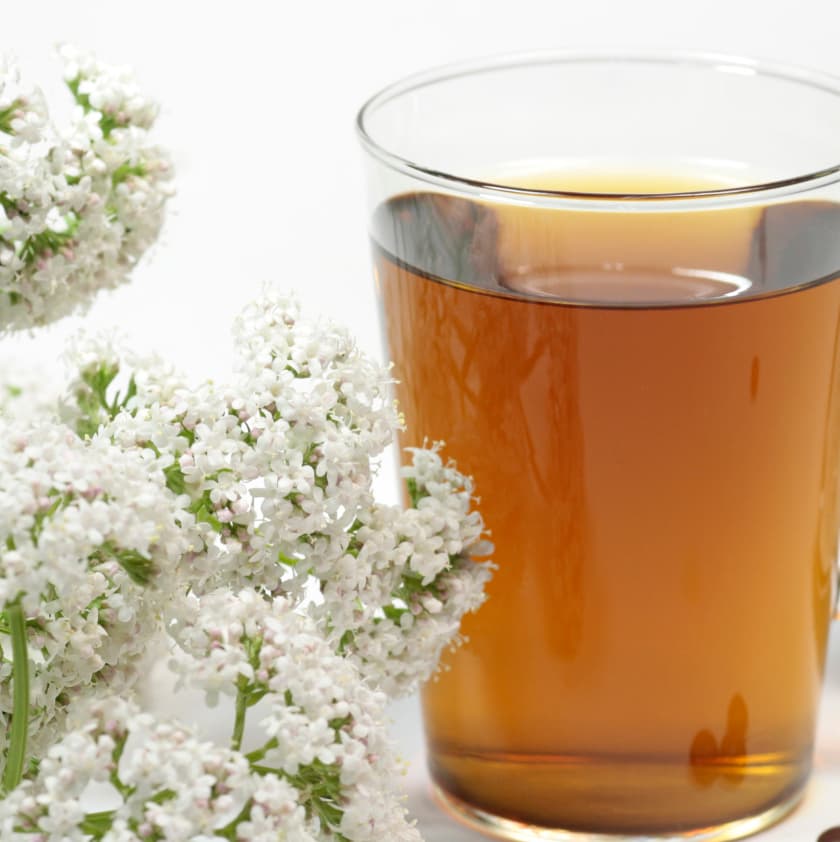 Las 10 Mejores hierbas antiestrés 