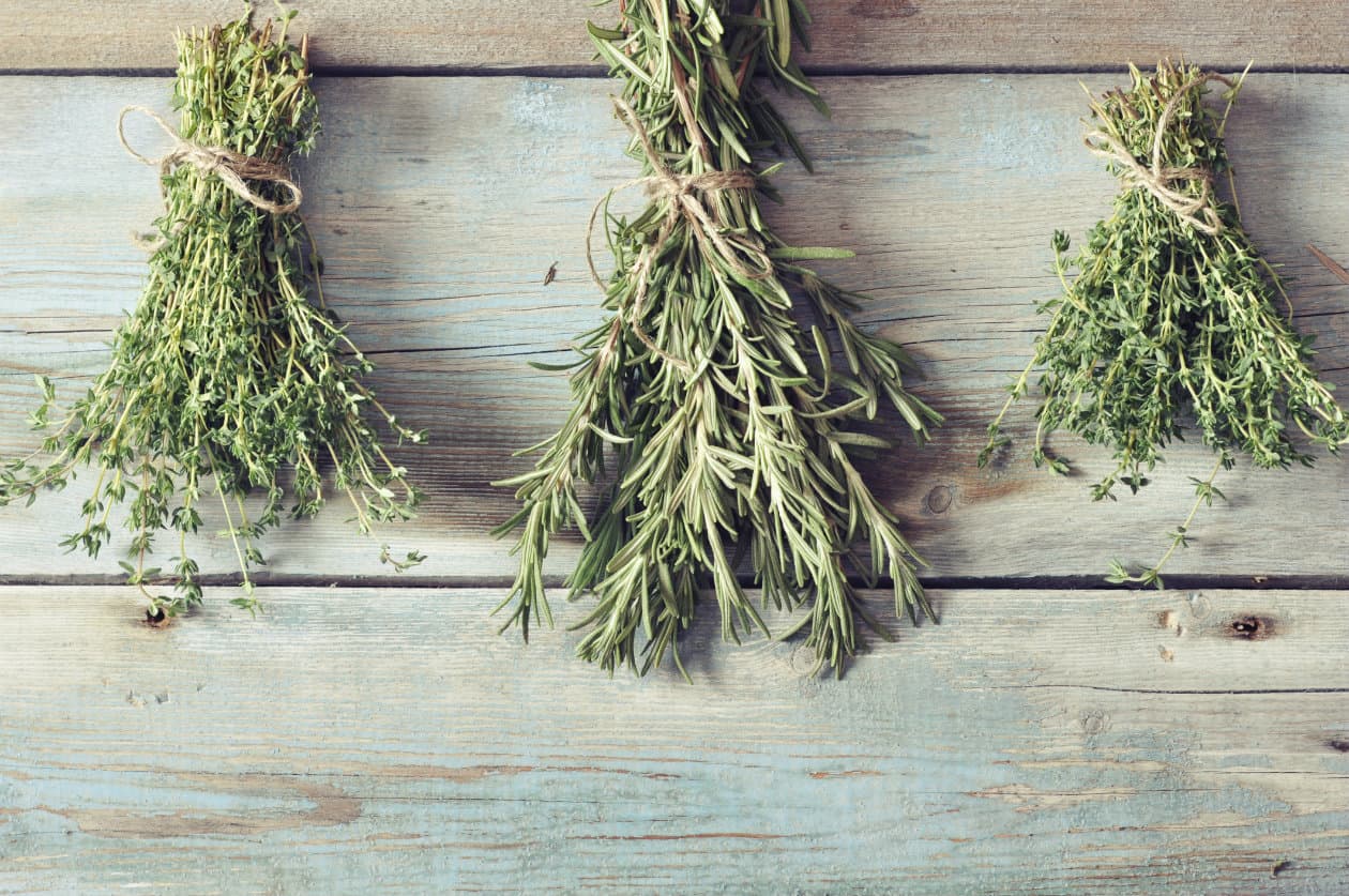 10 hierbas que curan