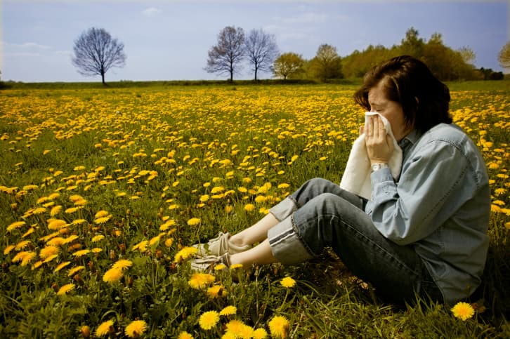 Curar alergias con remedios naturales