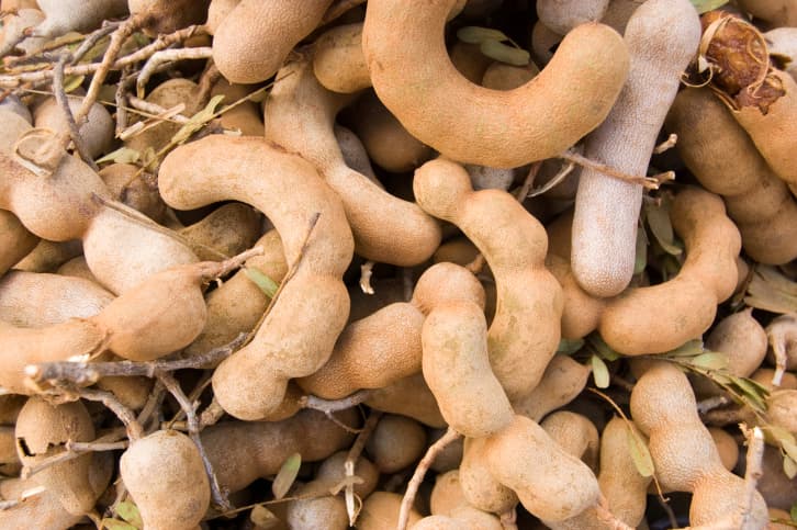 Beneficios del tamarindo para la salud humana