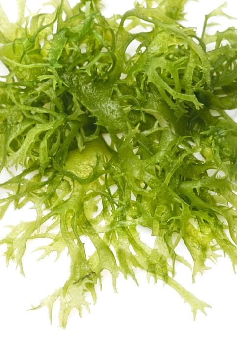 Alimentos ricos en yodo