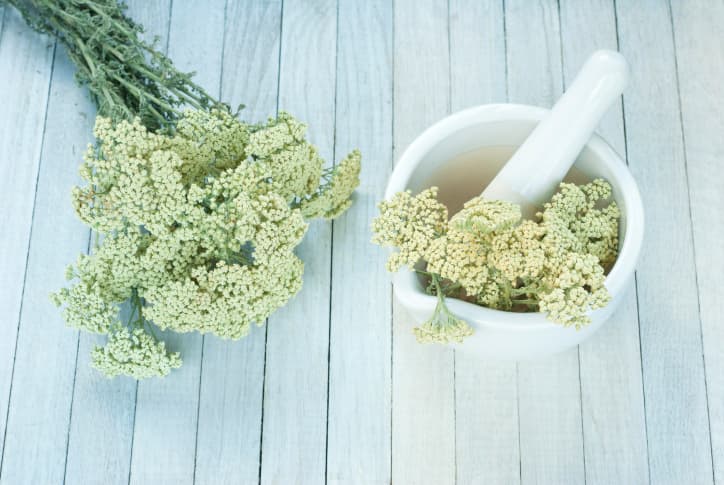 Propiedades de la milenrama y sus beneficios para la salud