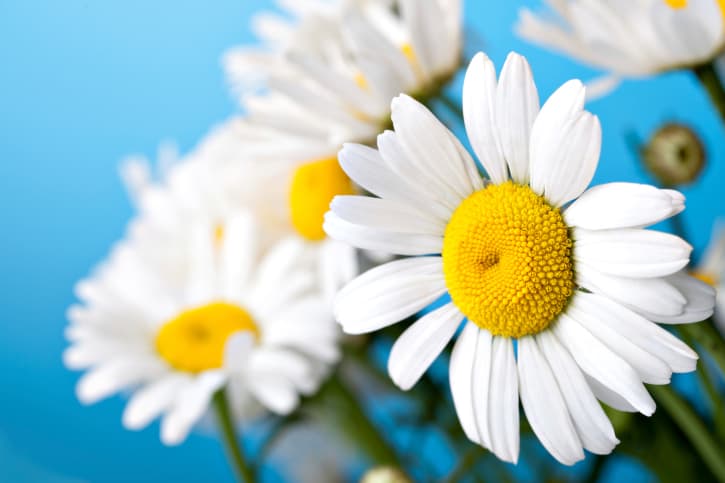 6 remedios fáciles para tratar el eczema